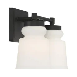 Snowmelt Vanity Light - 2 Light