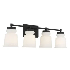 Snowmelt Vanity Light - 4 Light