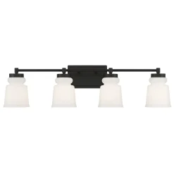 Snowmelt Vanity Light - 4 Light