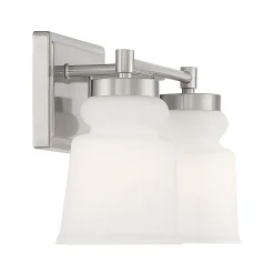 Snowmelt Vanity Light - 2 Light