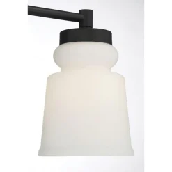 Snowmelt Vanity Light - 3 Light