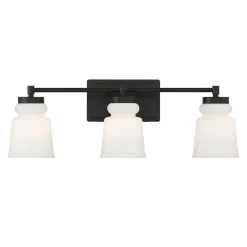 Snowmelt Vanity Light - 3 Light