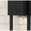 Stonecrop Wall Sconce - Small