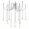 Suspended Shell Spread Chandelier - 12 Light