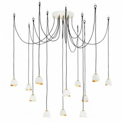 Suspended Shell Spread Chandelier - 12 Light