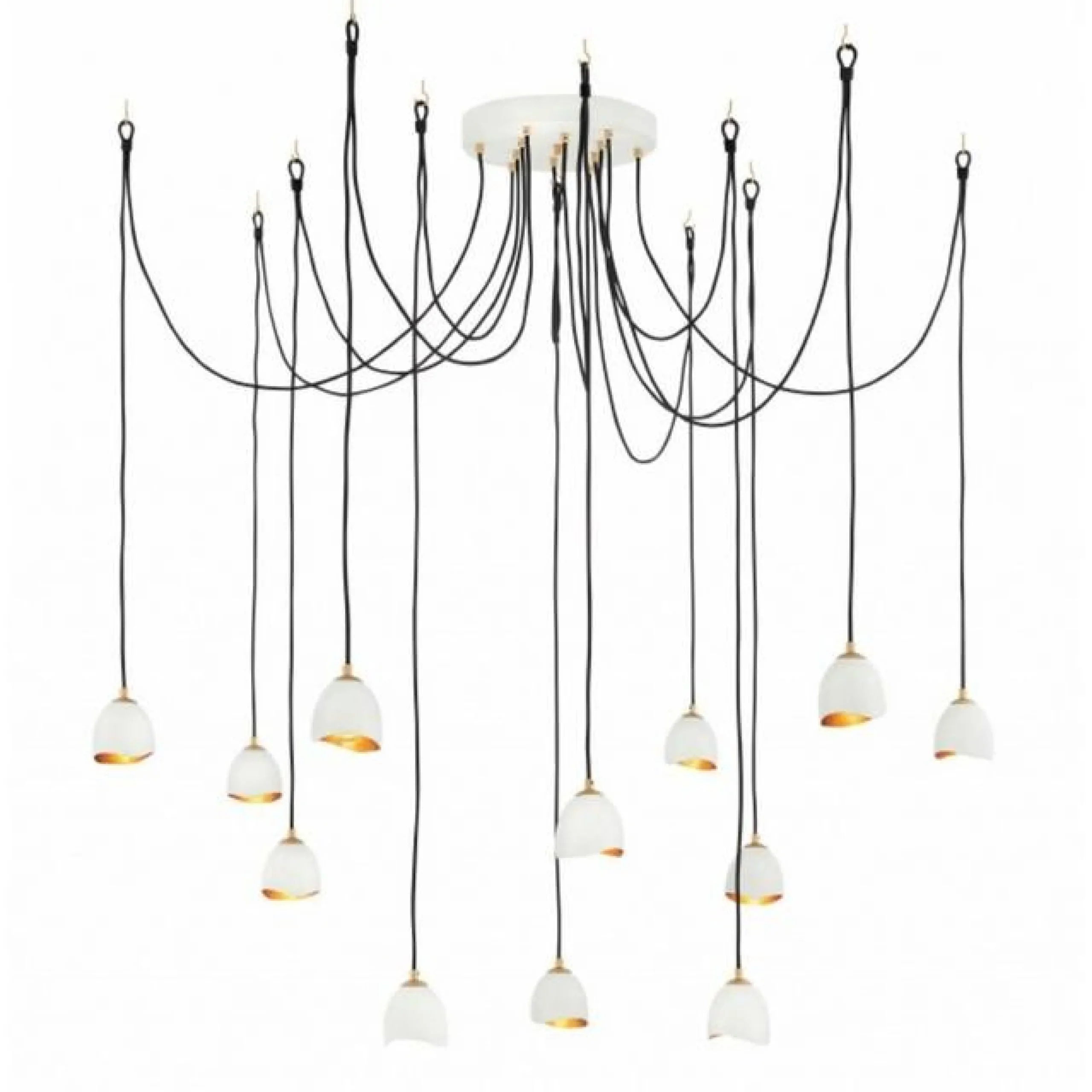 Suspended Shell Spread Chandelier - 12 Light