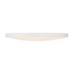 Svelte LED Ceiling Light