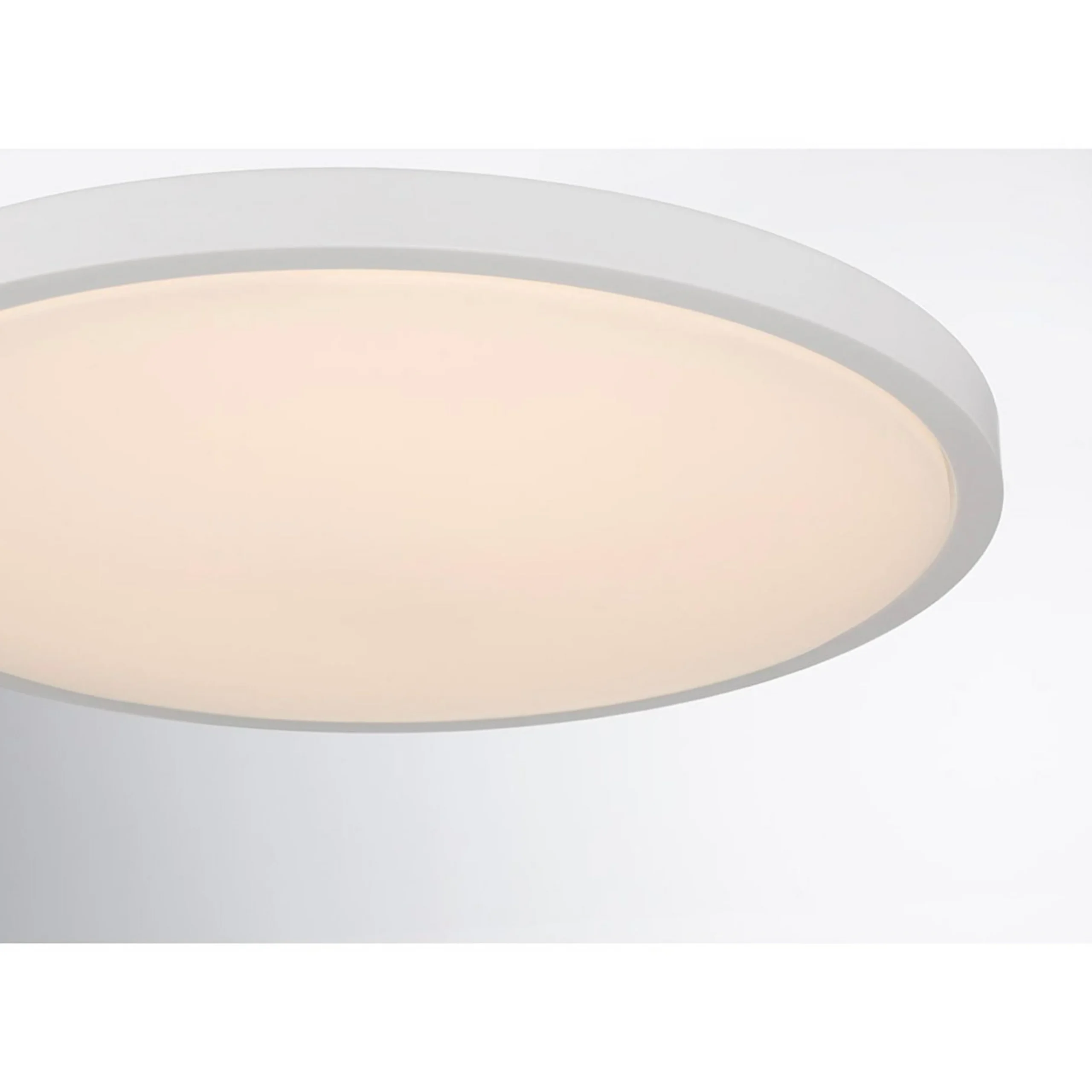 Svelte LED Ceiling Light