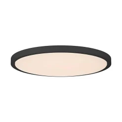 Svelte LED Ceiling Light