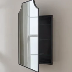 Sylvayn Medicine Cabinet Mirror