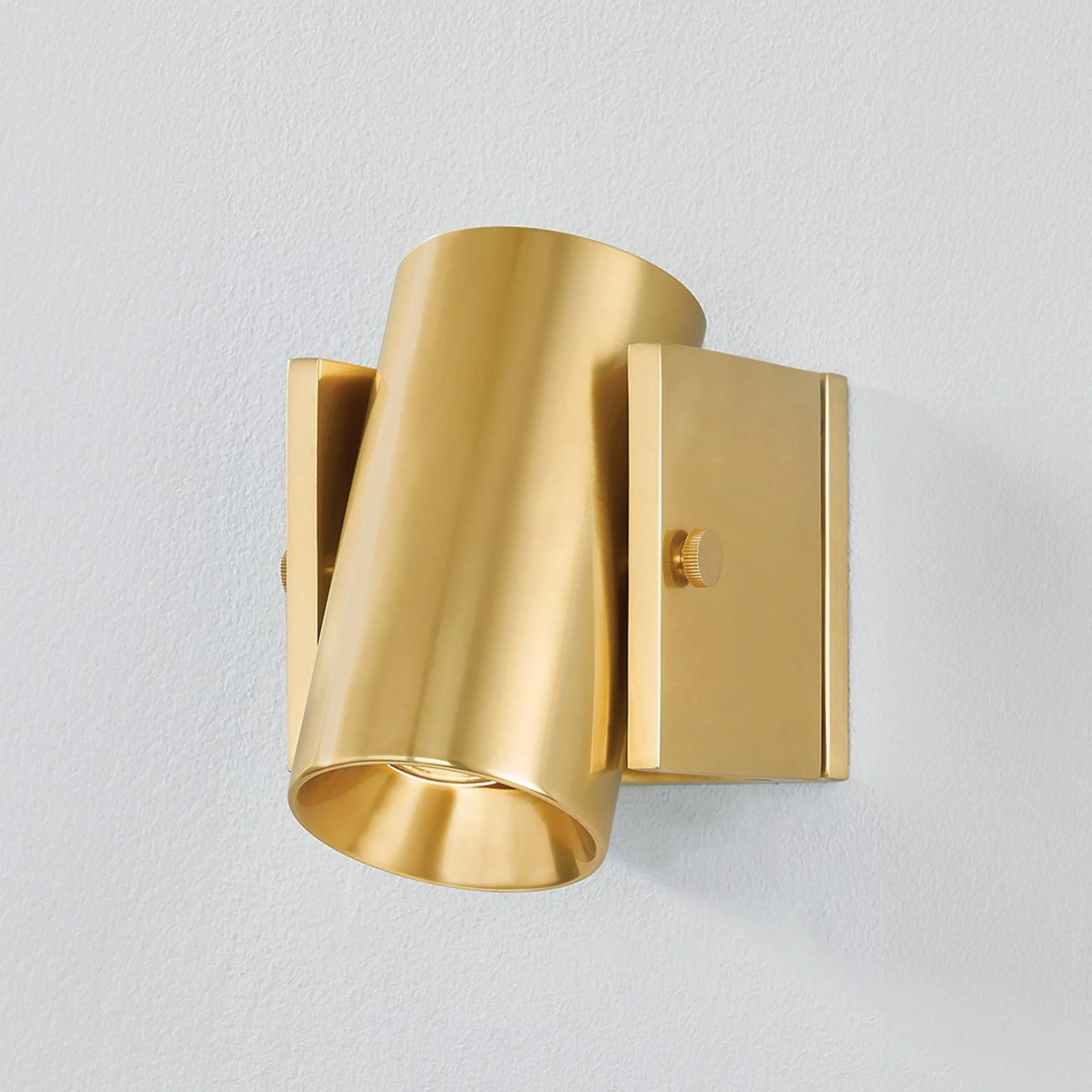 Tempi Spotlight Swing Arm Sconce