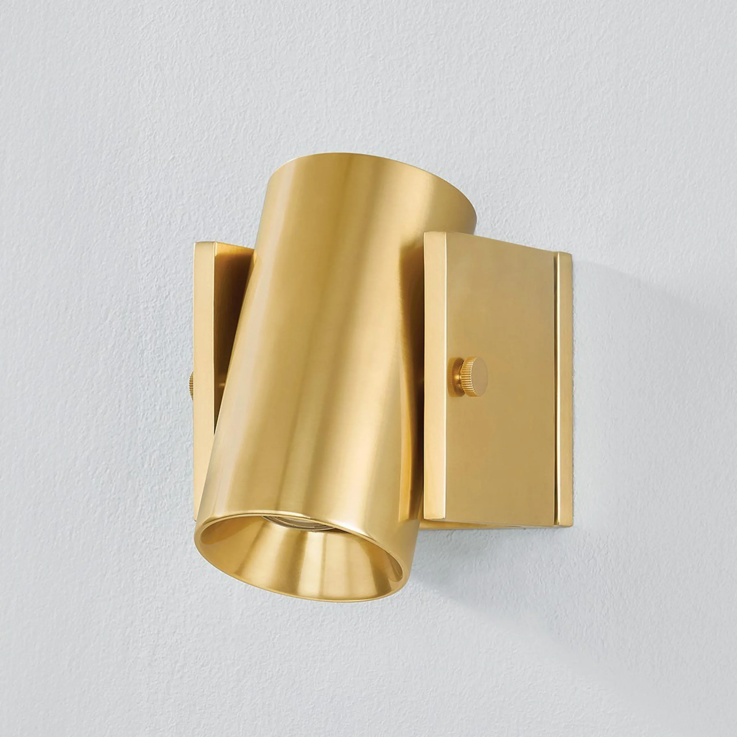 Tempi Spotlight Swing Arm Sconce