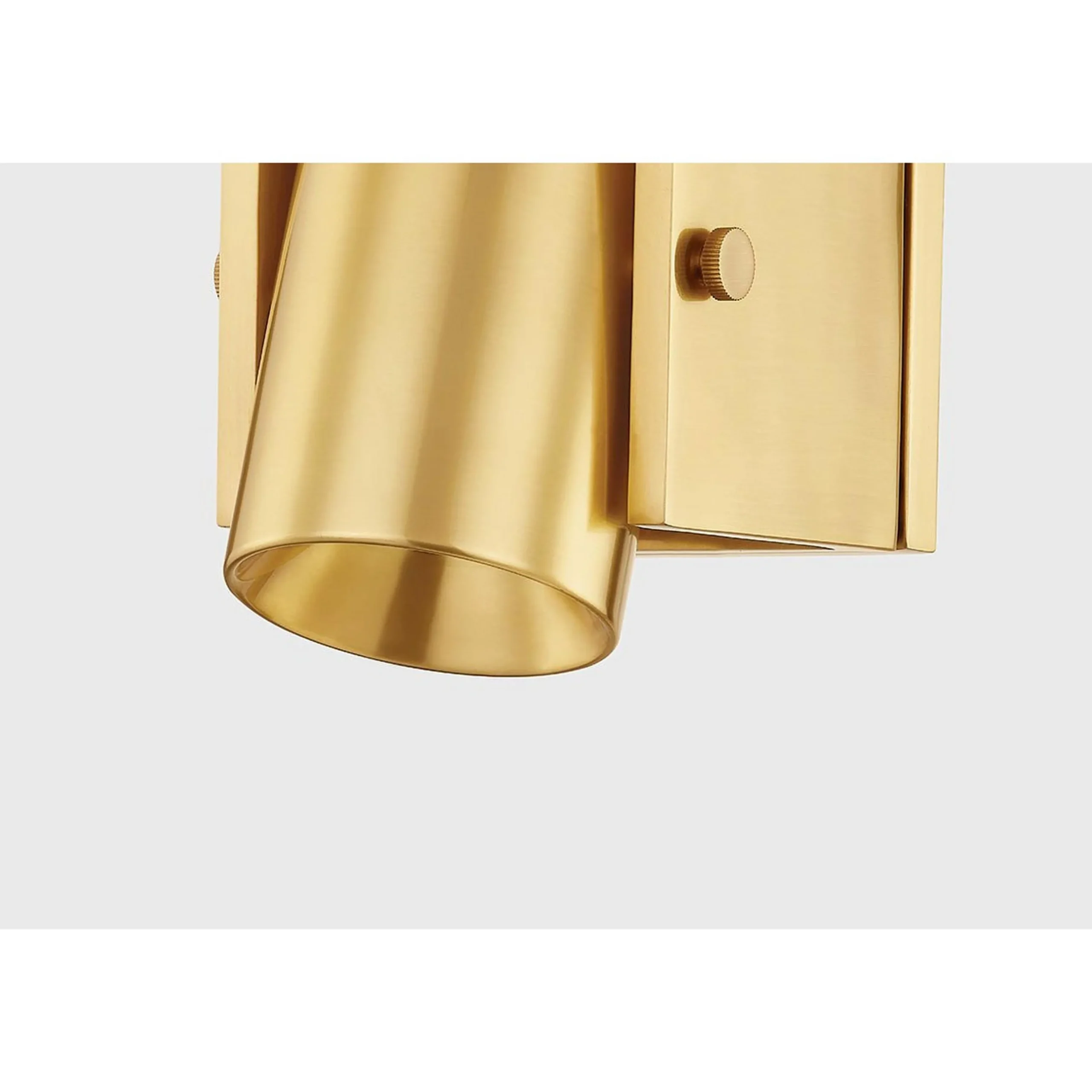 Tempi Spotlight Swing Arm Sconce