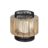 Thicket Indoor/Outdoor Table Lamp