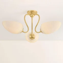 Trilliant Ceiling Light