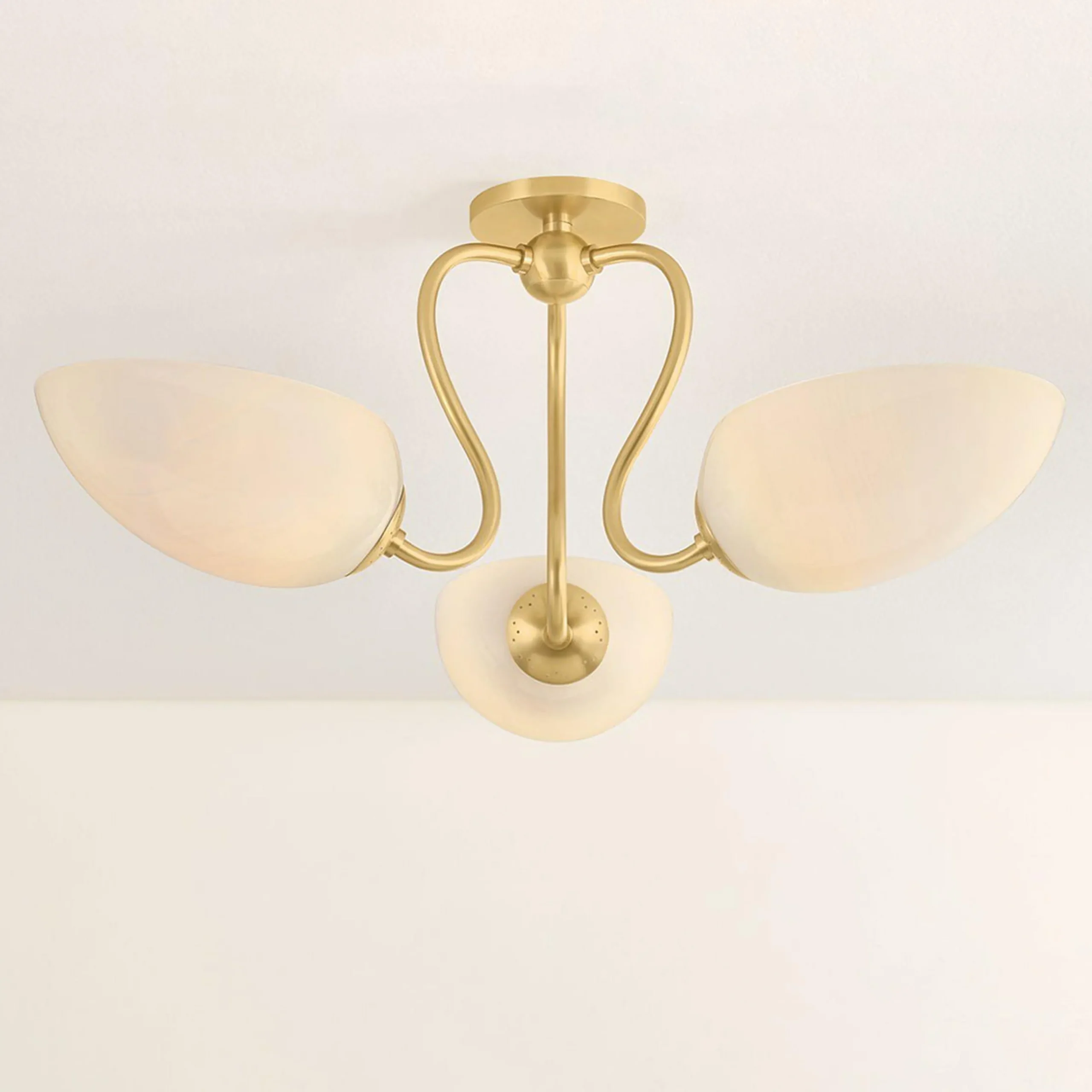 Trilliant Ceiling Light