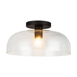 Tuya Ceiling Light