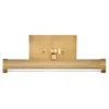 Two Tone LED Picture Light - Small