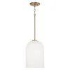 Verlice Pendant
