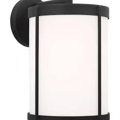 Vincent Opal Glass Outdoor Sconce - Medium