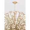 Wylde Chandelier