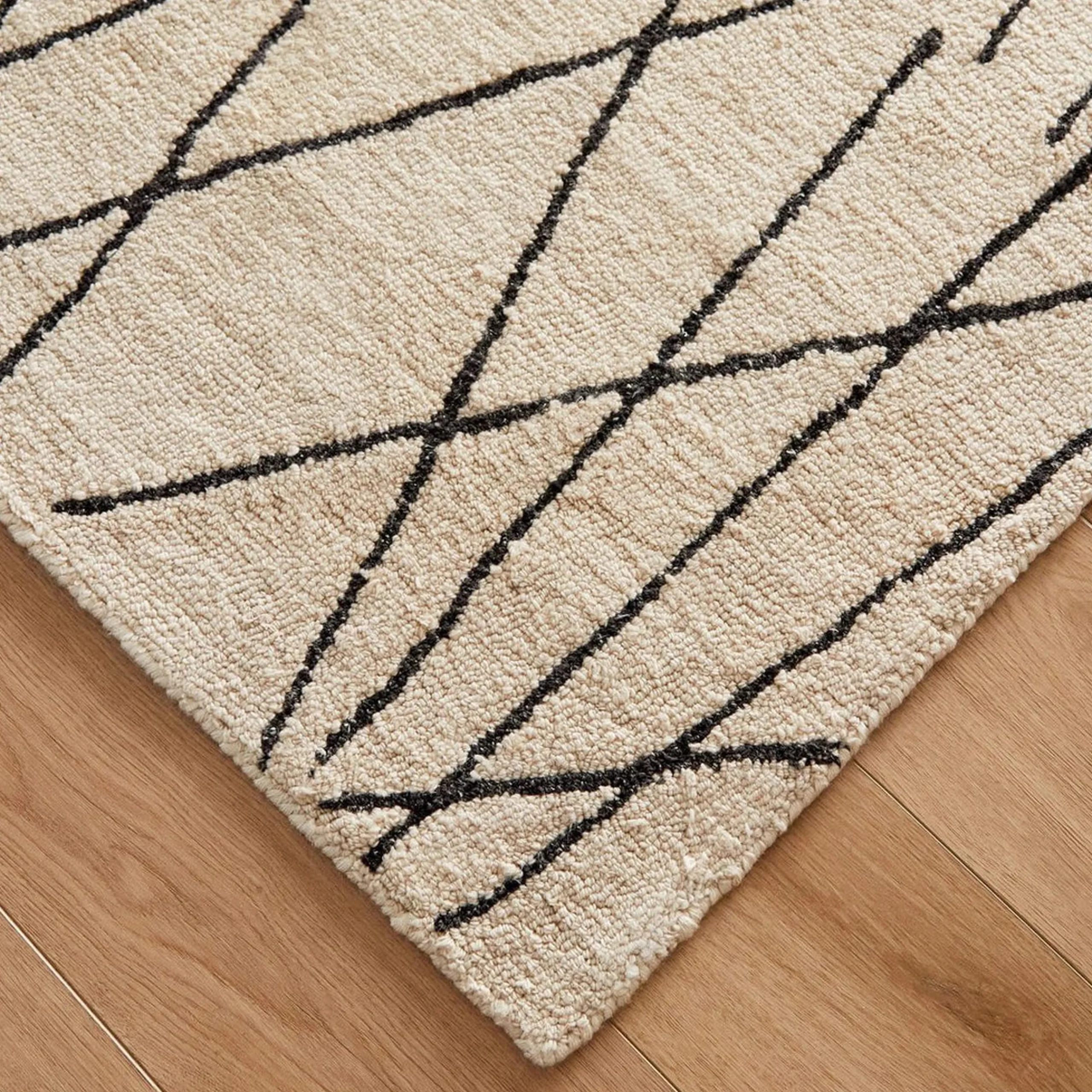 Xylan Hand-Hooked Indoor / Outdoor Rug
