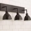 Young House Love Dapper Vanity Light - 3 Light