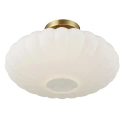 Zilpha Ceiling Light