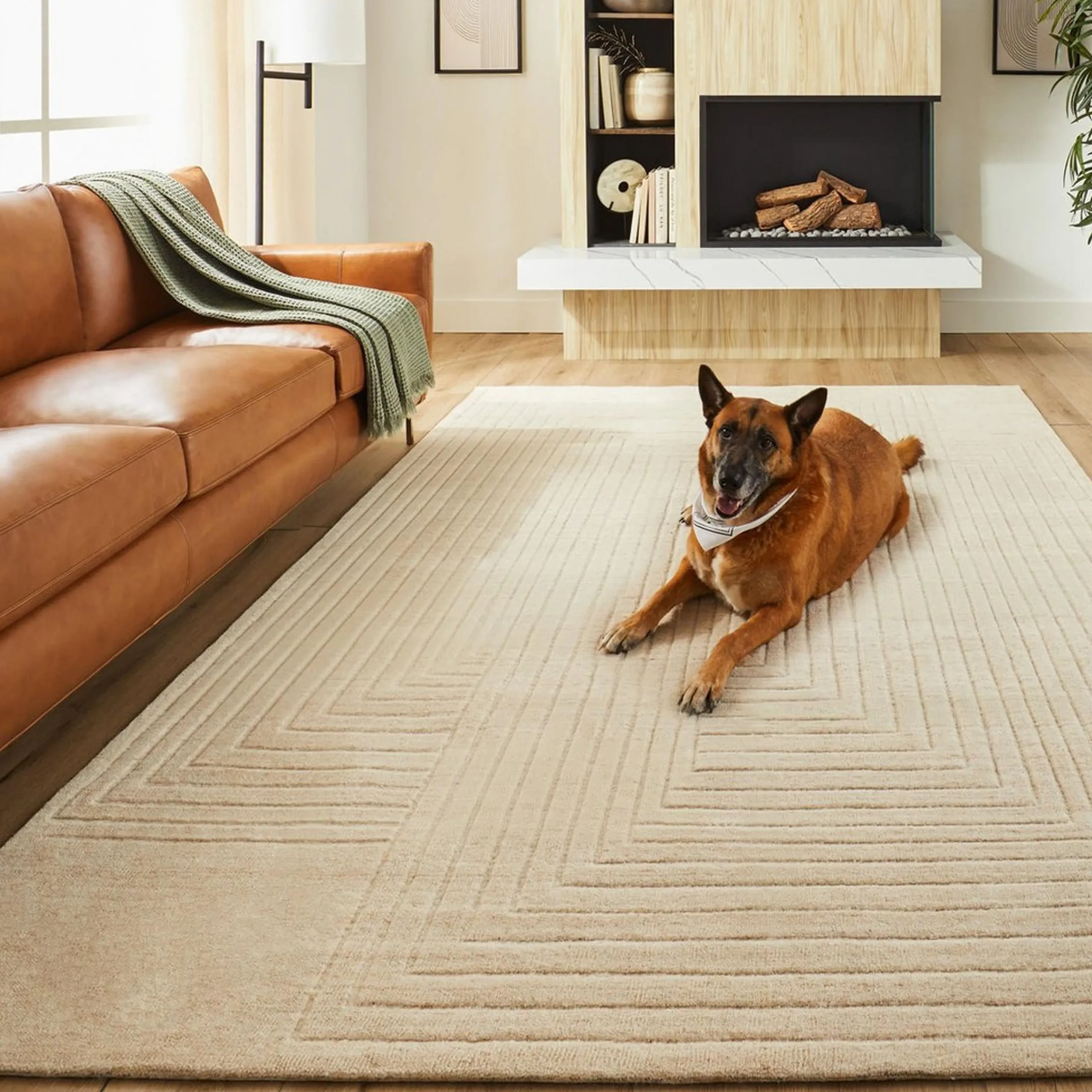 Zyron Hand-Tufted Rug